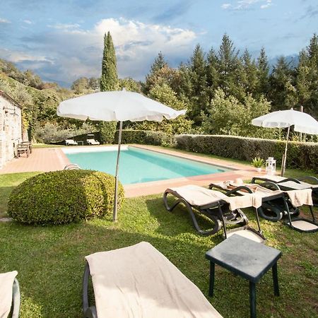Casetta Di Butia, Ginestra Apartment With Swimming Pool Borgo a Mozzano Exterior foto