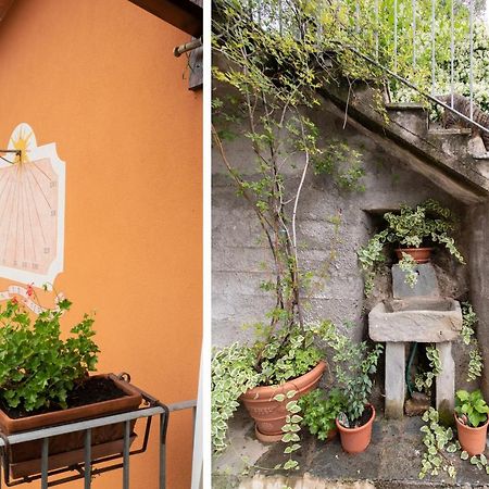 Casetta Di Butia, Ginestra Apartment With Swimming Pool Borgo a Mozzano Exterior foto