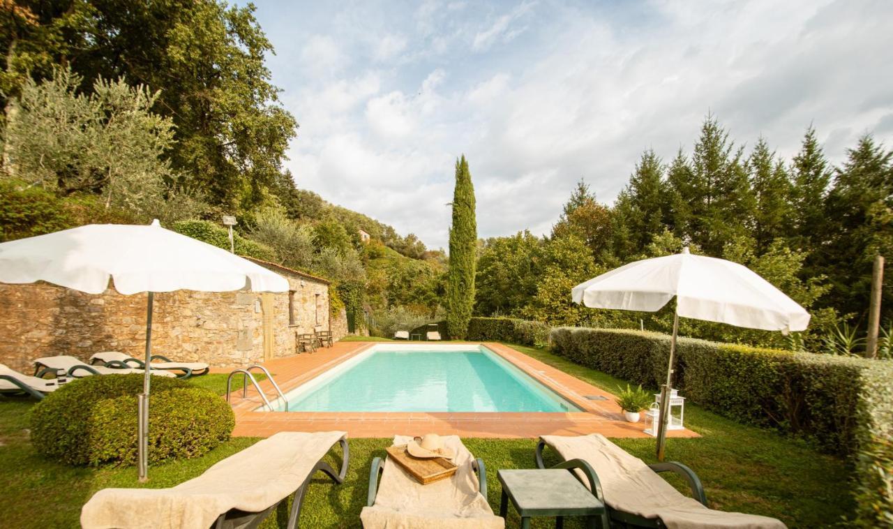 Casetta Di Butia, Ginestra Apartment With Swimming Pool Borgo a Mozzano Exterior foto
