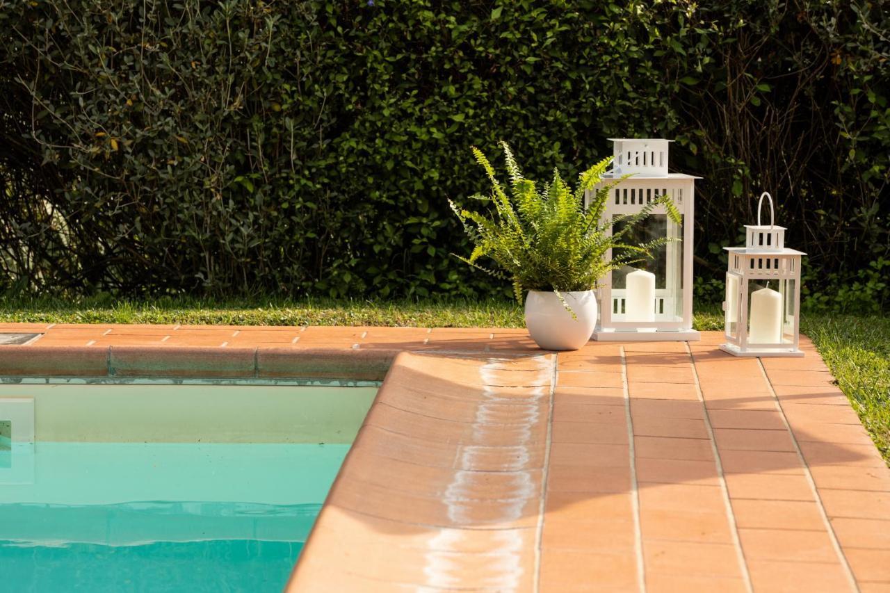 Casetta Di Butia, Ginestra Apartment With Swimming Pool Borgo a Mozzano Exterior foto