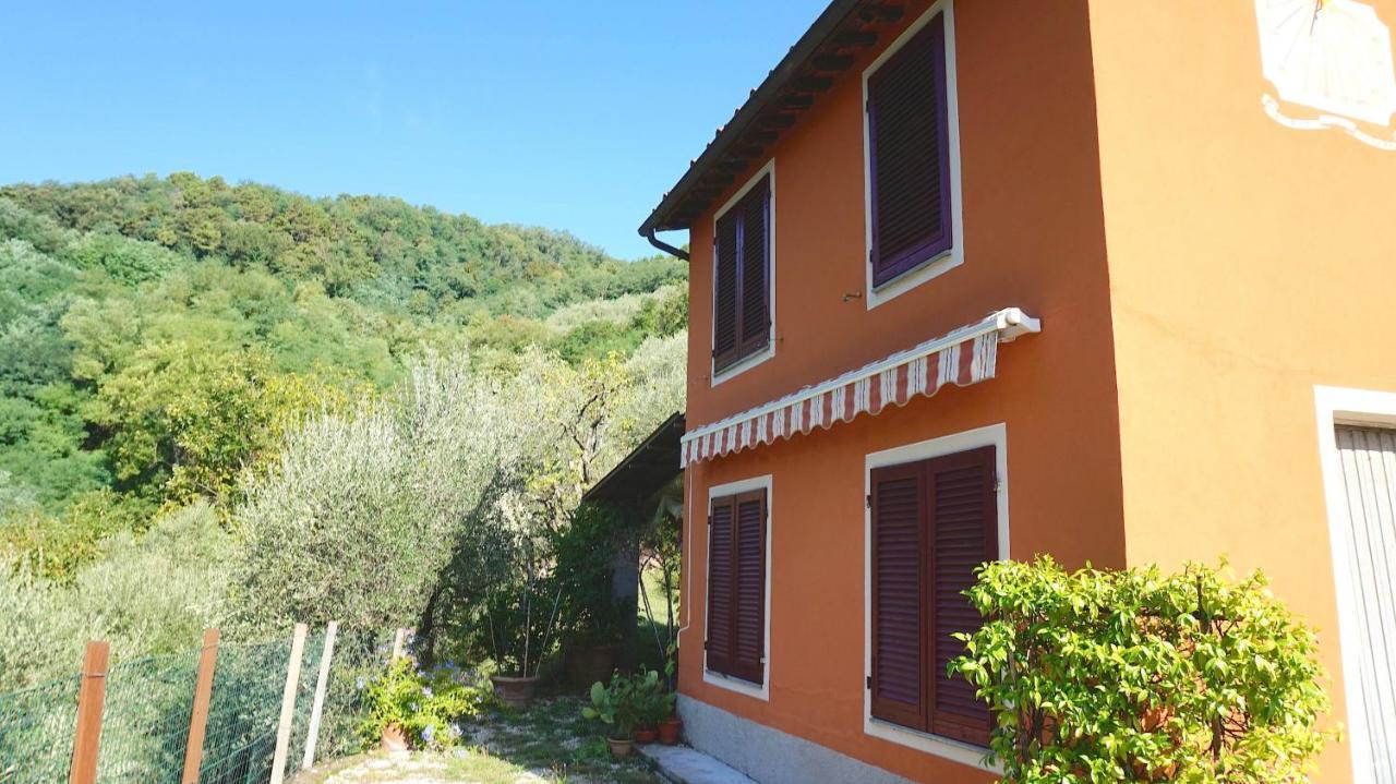 Casetta Di Butia, Ginestra Apartment With Swimming Pool Borgo a Mozzano Exterior foto