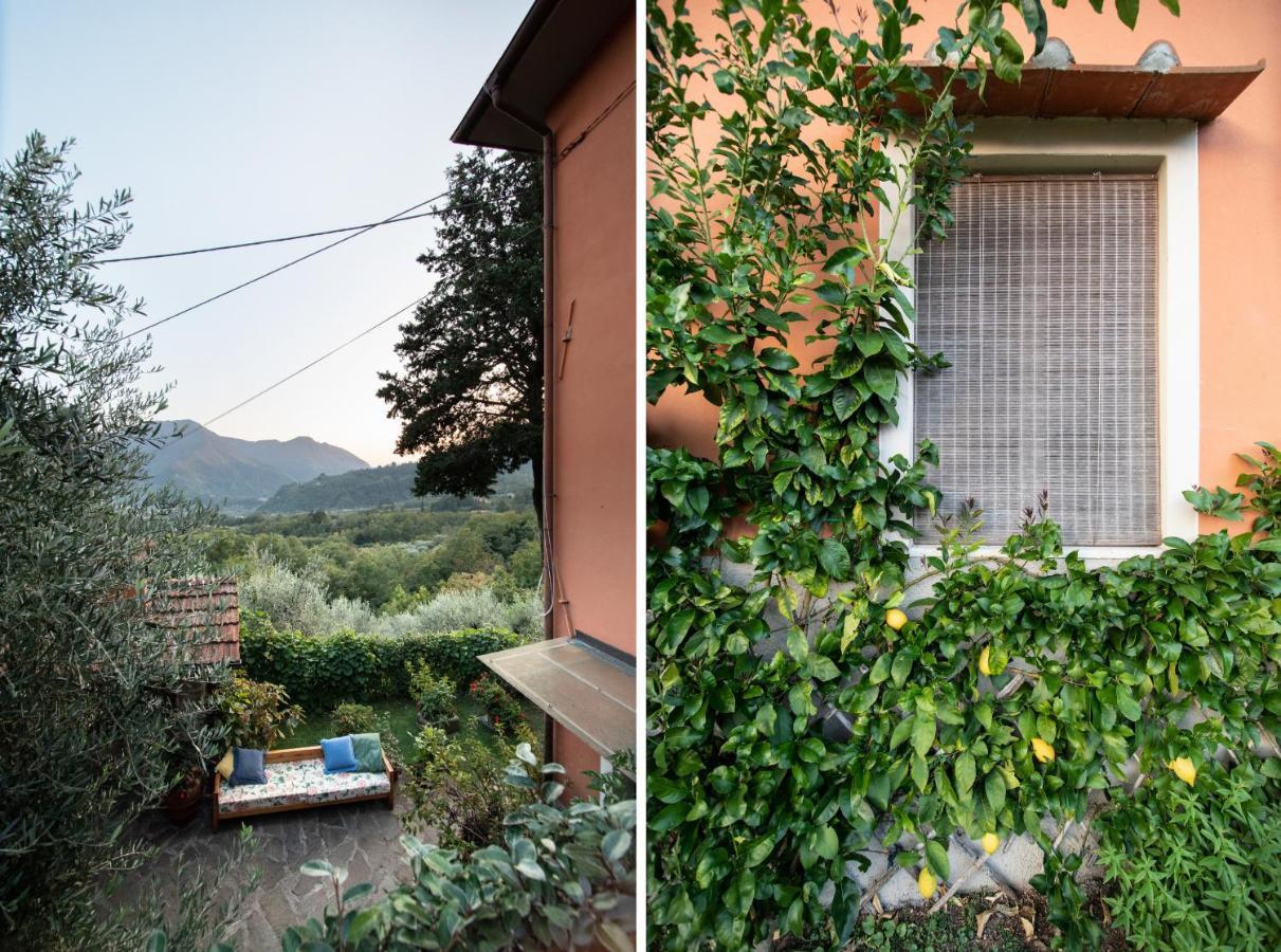 Casetta Di Butia, Ginestra Apartment With Swimming Pool Borgo a Mozzano Exterior foto