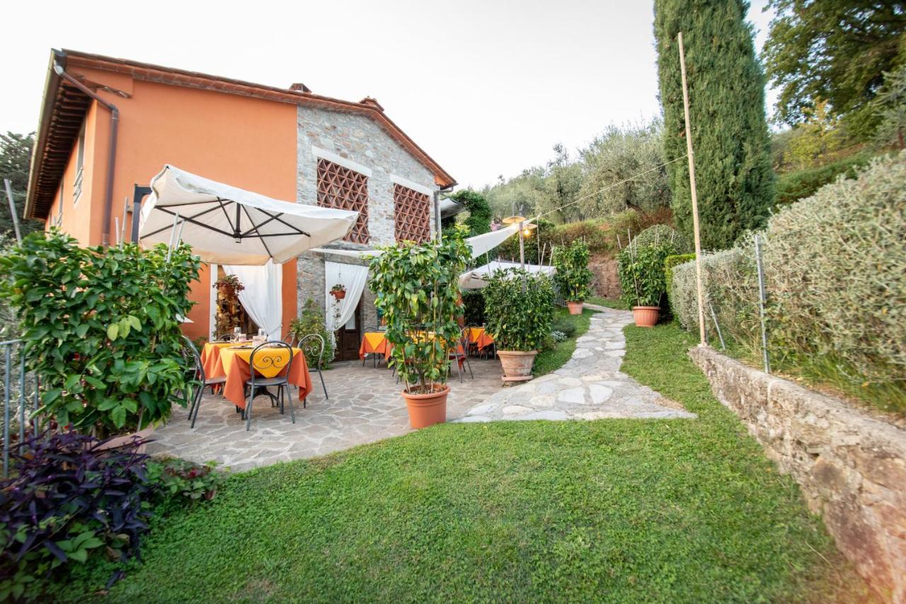 Casetta Di Butia, Ginestra Apartment With Swimming Pool Borgo a Mozzano Exterior foto