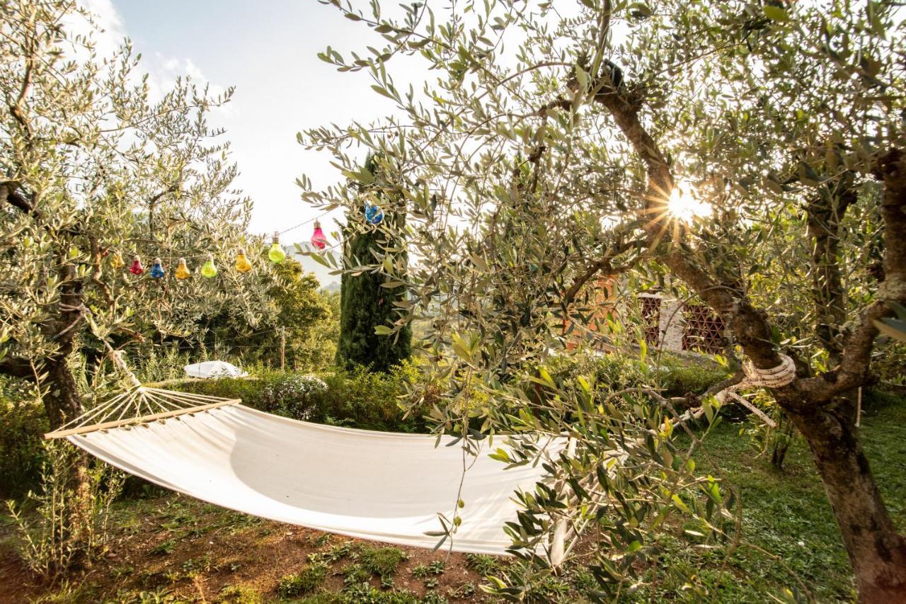 Casetta Di Butia, Ginestra Apartment With Swimming Pool Borgo a Mozzano Exterior foto