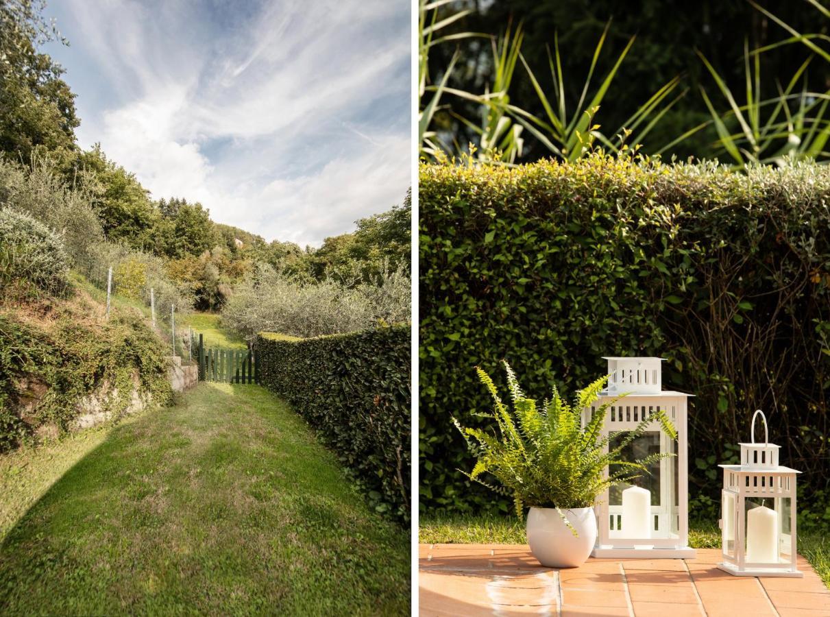 Casetta Di Butia, Ginestra Apartment With Swimming Pool Borgo a Mozzano Exterior foto
