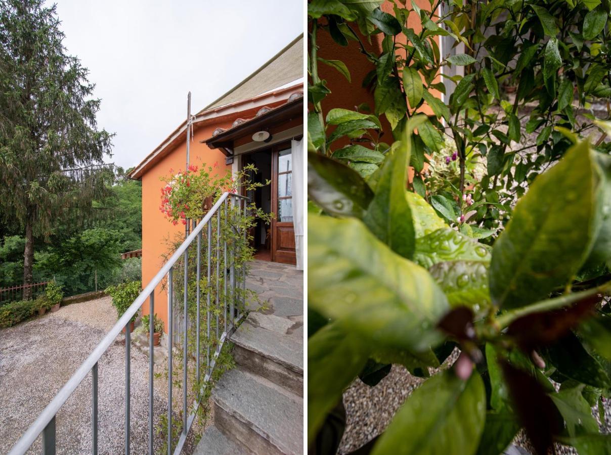 Casetta Di Butia, Ginestra Apartment With Swimming Pool Borgo a Mozzano Exterior foto