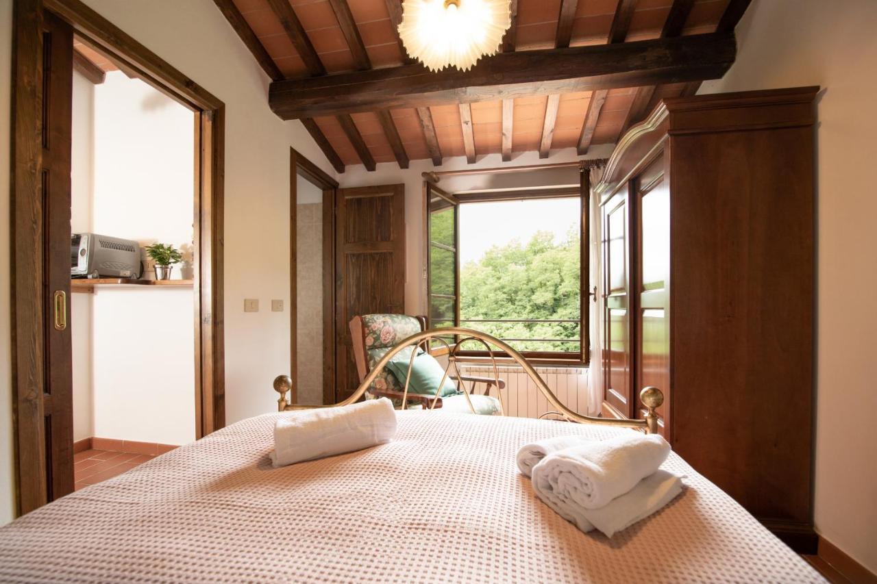 Casetta Di Butia, Ginestra Apartment With Swimming Pool Borgo a Mozzano Exterior foto