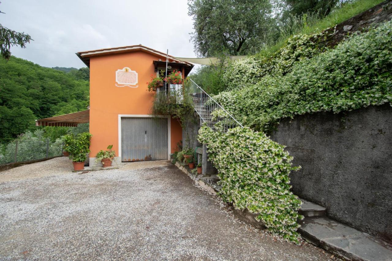 Casetta Di Butia, Ginestra Apartment With Swimming Pool Borgo a Mozzano Exterior foto