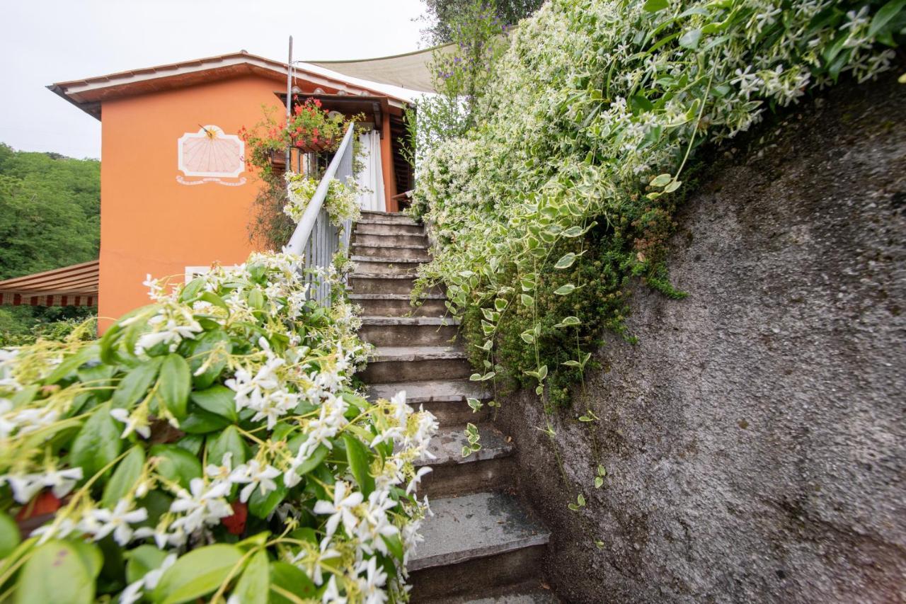 Casetta Di Butia, Ginestra Apartment With Swimming Pool Borgo a Mozzano Exterior foto